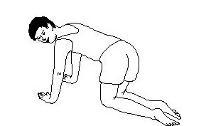 c exercise
